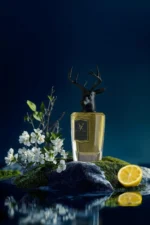 Onyx Black - Image 4